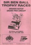 Programme cover of Brands Hatch Circuit, 16/06/1985