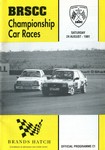 Programme cover of Brands Hatch Circuit, 24/08/1991