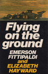 Book cover of Flying on the Ground