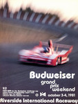Programme cover of Riverside International Raceway (CA), 04/10/1981